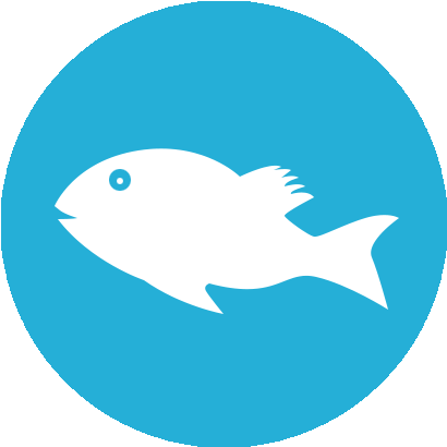 Fishing Icon New York - Smart Car Png Icon (470x461)