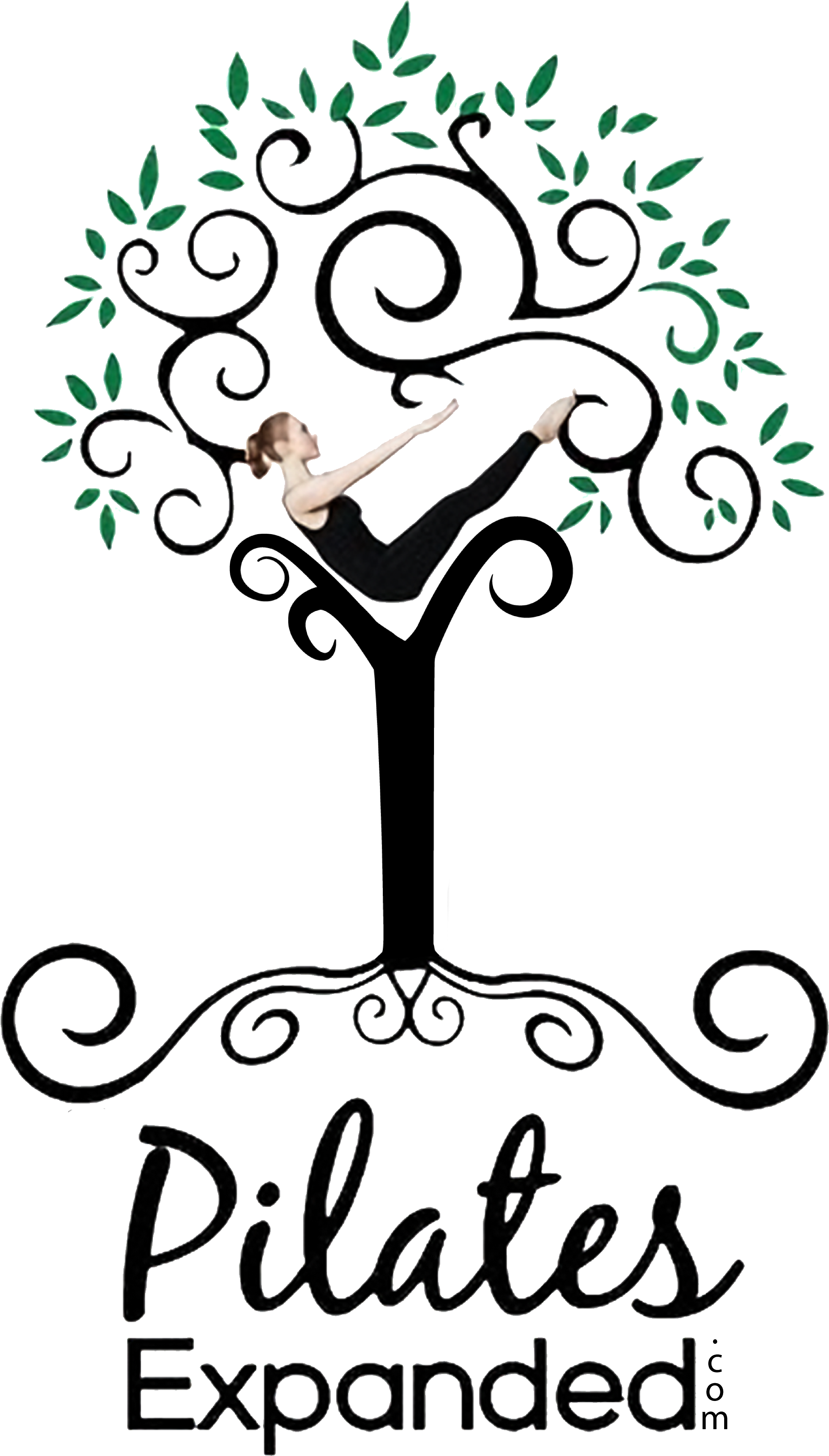 Version 2 Pilates Expanded Time1521909157511 - Rnk Shops Yoga Tree Garden Flag (personalized) (3500x4529)