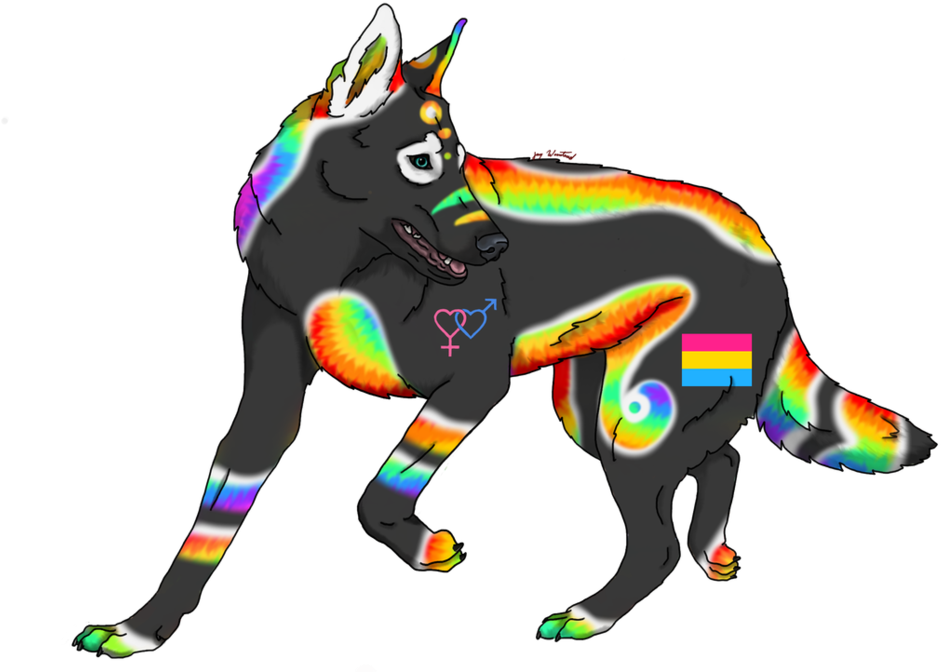 Pansexual Symbol And Flag - Illustration (1024x686)