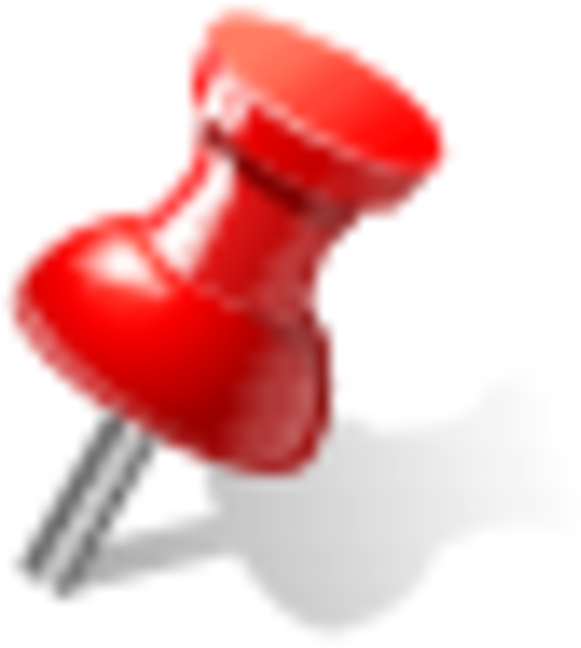 Pin Icon (600x600)