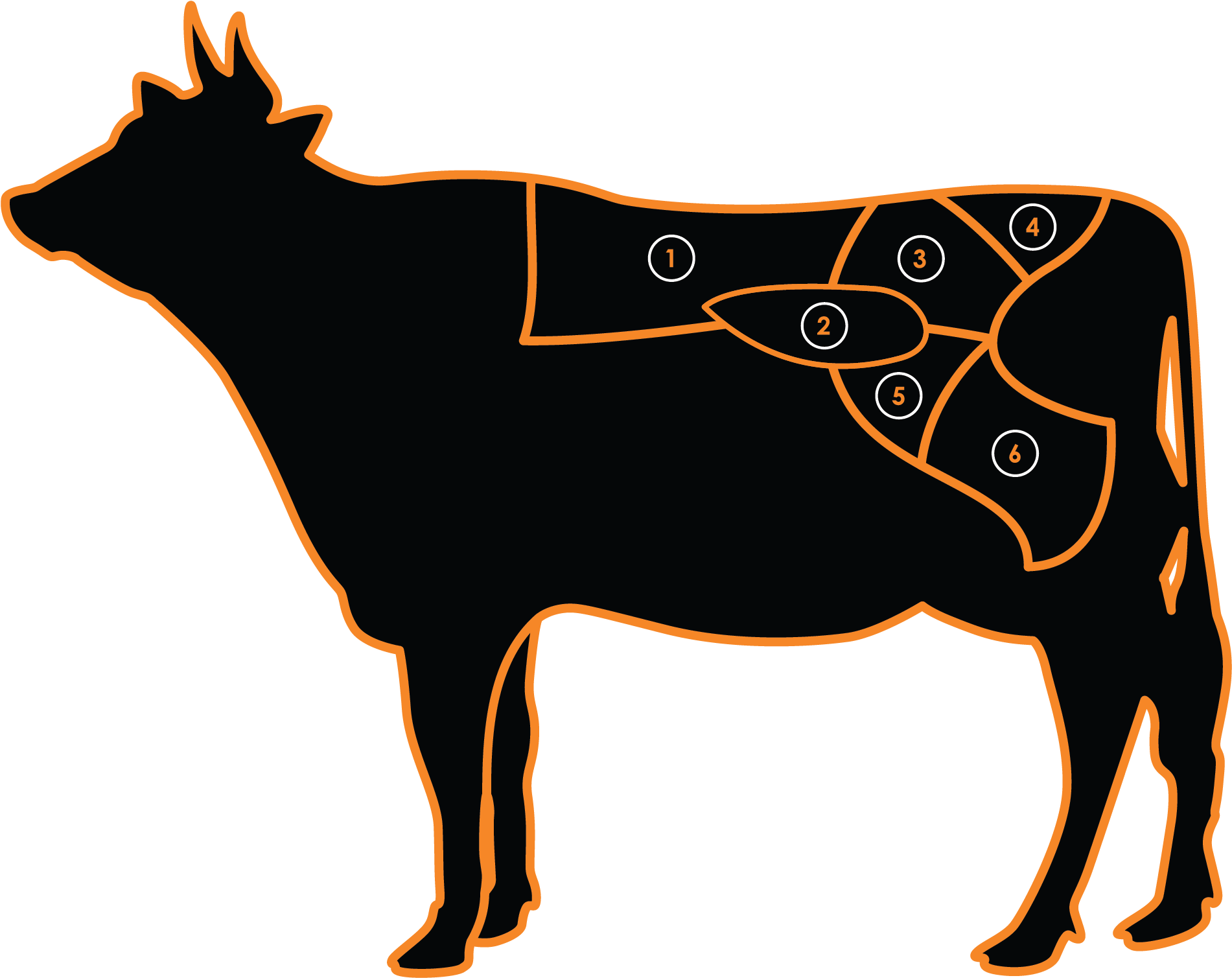 Learn Where Your Delicious Meal Comes From - Bull (2104x1668)