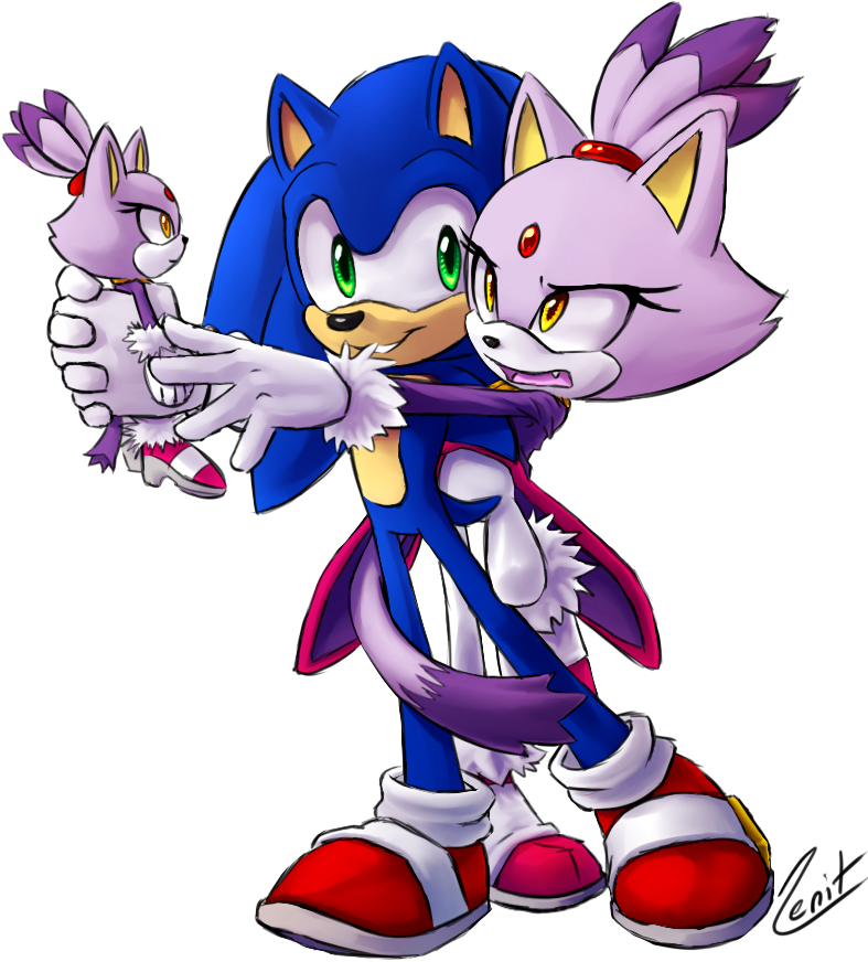 I Still Need One Of Those - Sonic The Hedgehog Blaze (789x878)