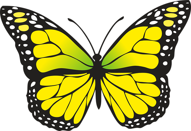 Butterfly Clipart For Kids Butterfly Clipart - Yellow Butterfly (640x440)