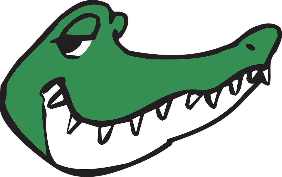 Alligator Clip Art 8, - Gambar Kepala Buaya Animasi (1920x1206)