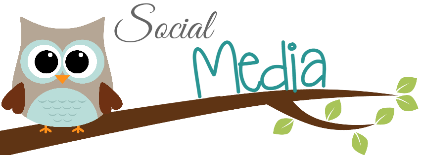 Alp Socmed Owl - Owl (851x315)