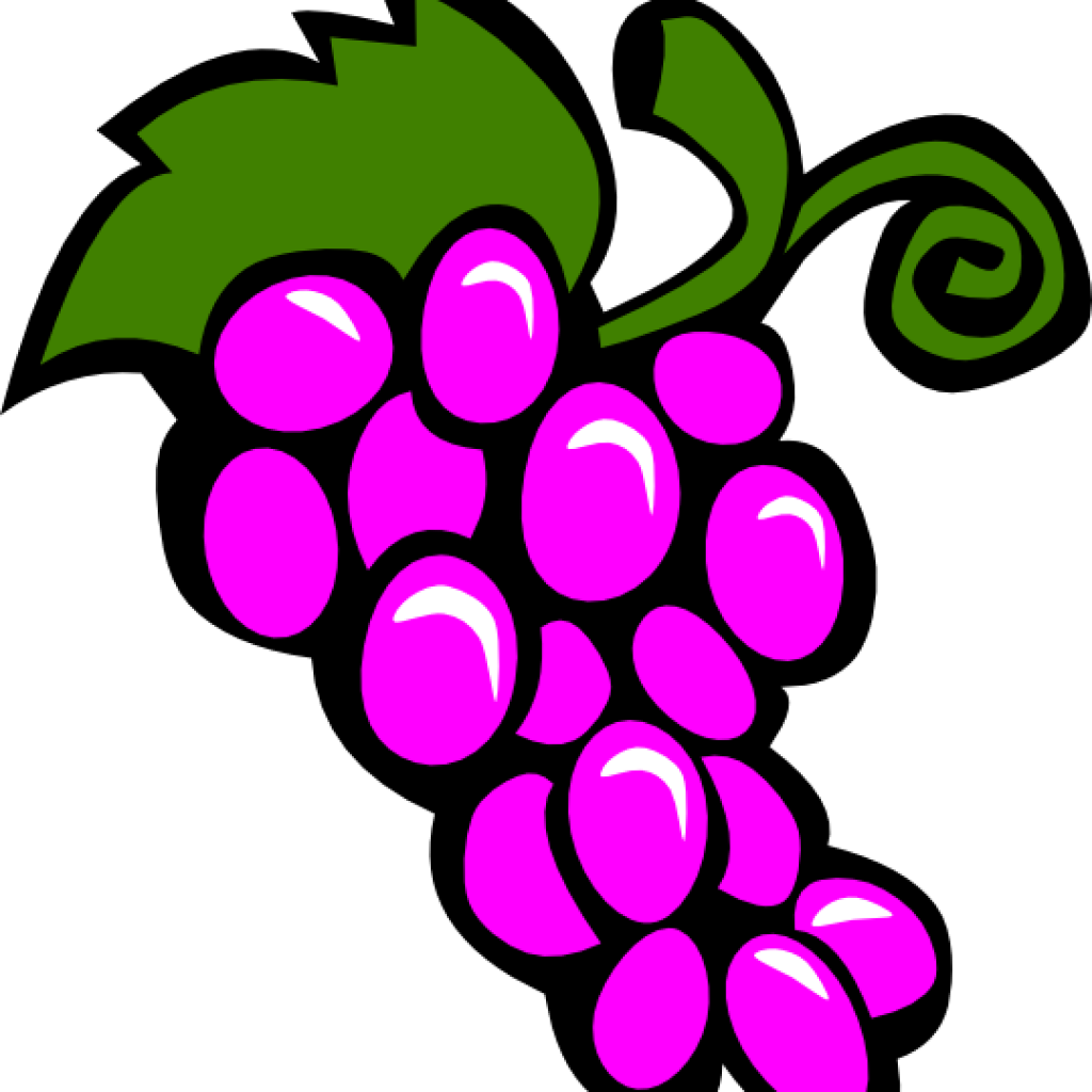 Grapes Clipart Grapes Clip Art At Clker Vector Clip - Grapes Clip Art (1024x1024)