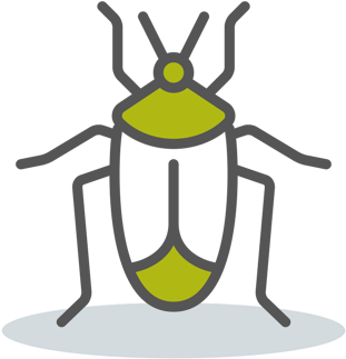 Cockroach (512x512)