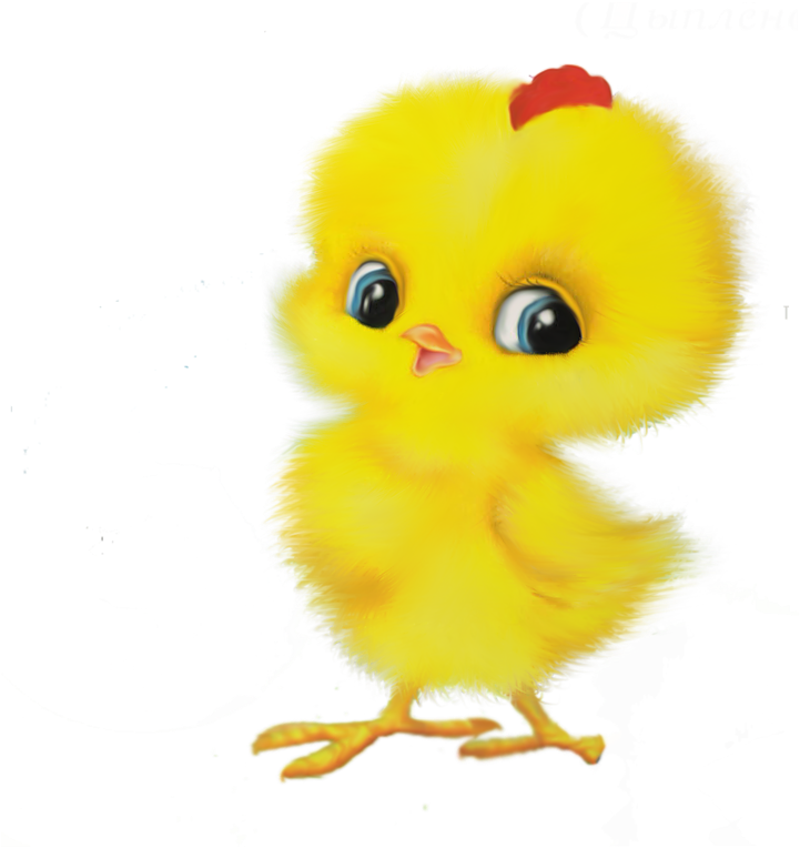 Chicken Child Game Easter Egger - Chicken Child Game Easter Egger (800x800)