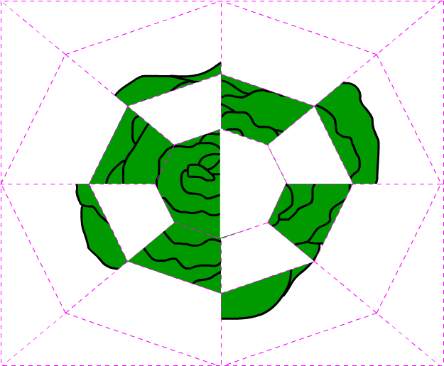 17 Cabbage Coloring Pages With Paint Missing Parts - Illustration (625x516)