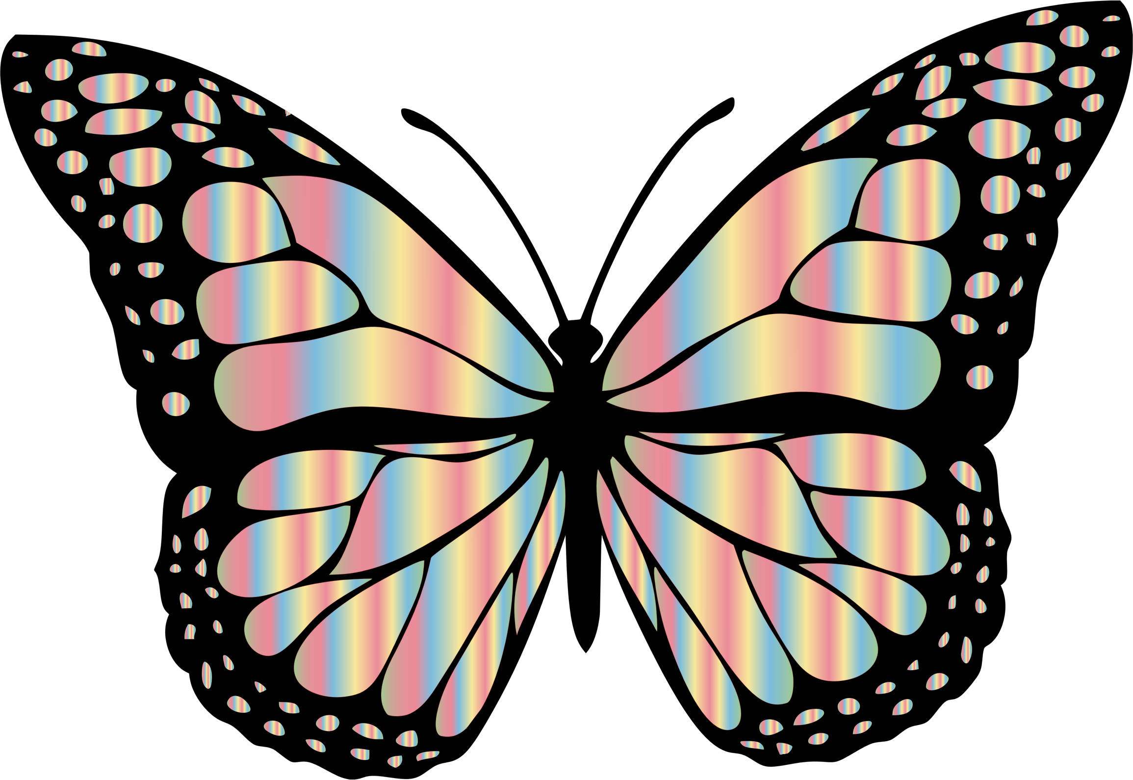 This Free Icons Png Design Of Monarch Butterfly 2 Variation - White And Black Butterfly (2310x1590)