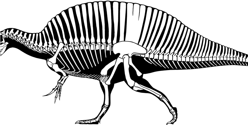 Tyrannosaurus Rex Spinosaurus Aegyptiacus (835x438)