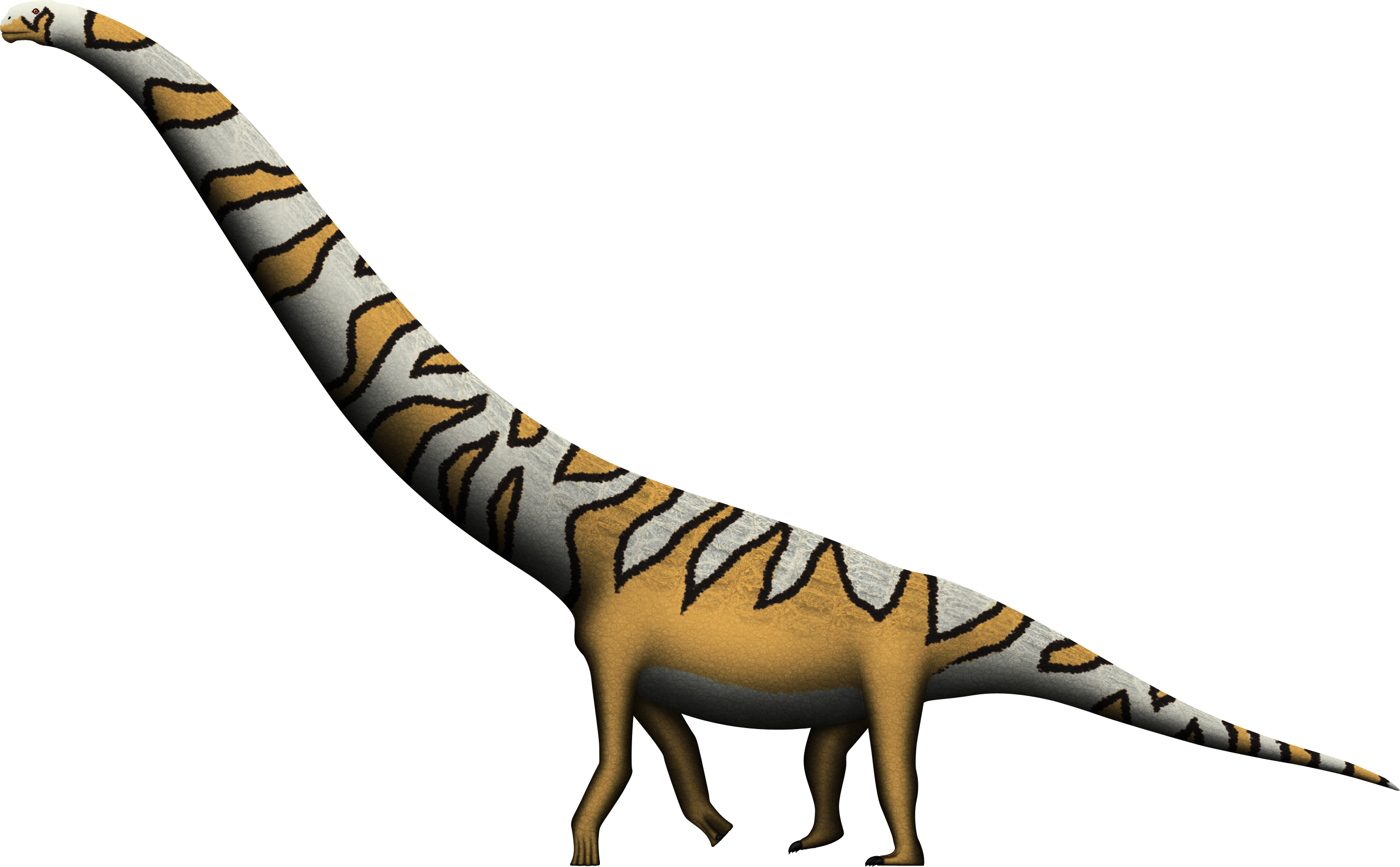 Tweaked To Reflect The Current Skeletal Update(longer - Dreadnoughtus (2700x1672)