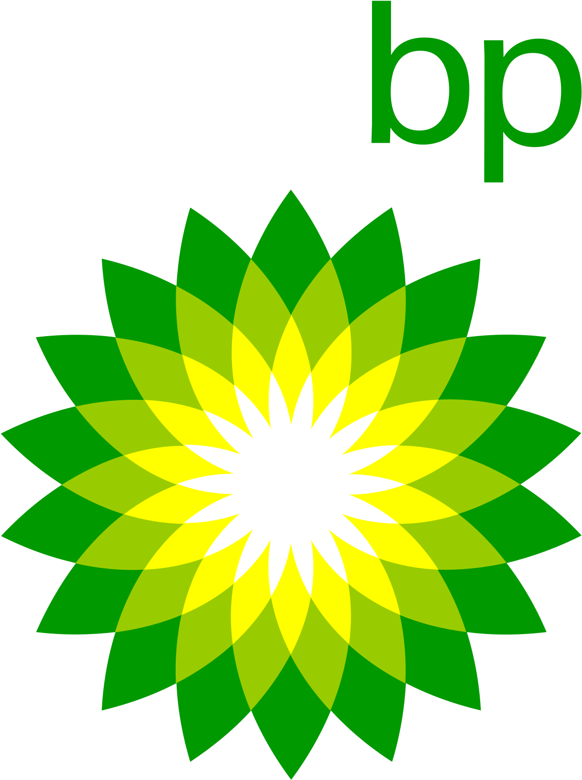Dallas Fort Worth Microsoft Excel Training Classes - British Petroleum Logo (1200x1200)