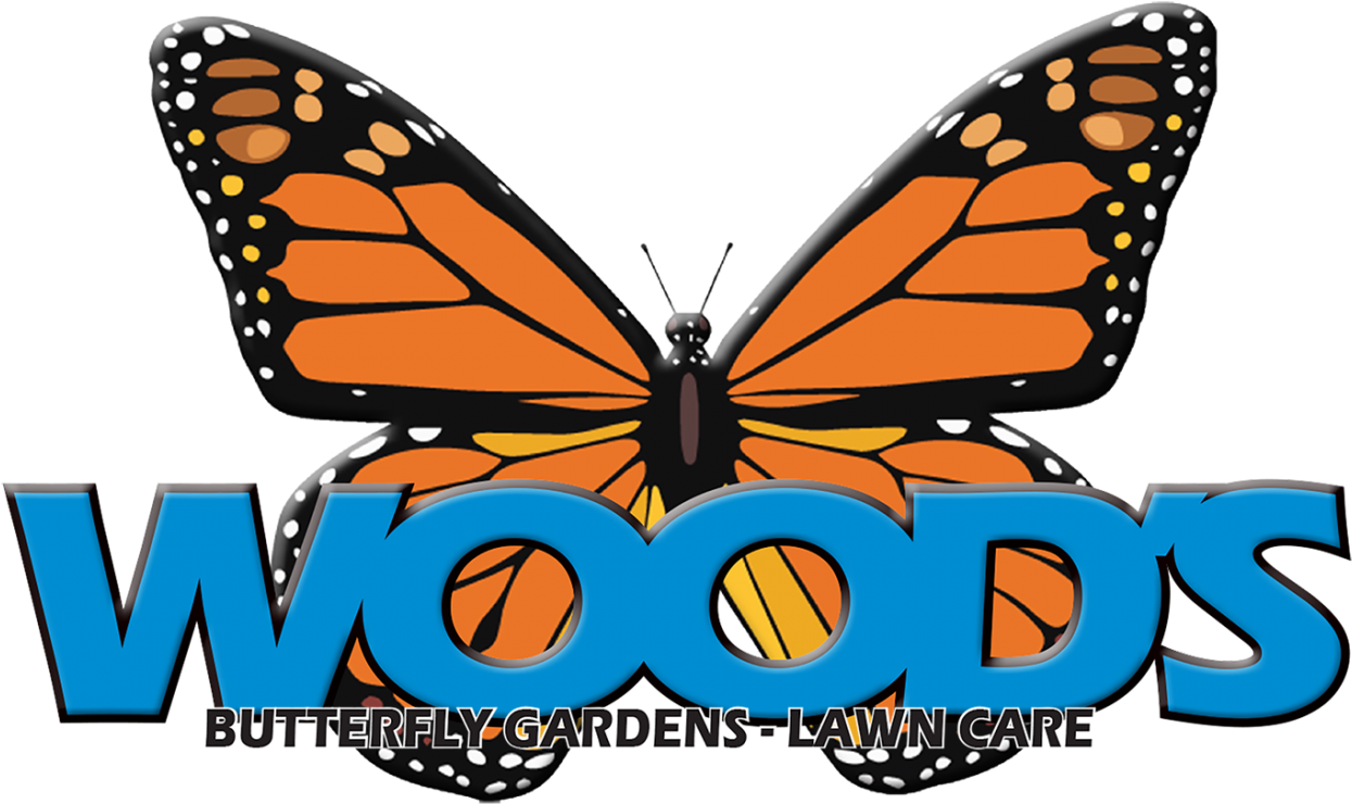 Monarch Butterfly Clipart (1260x752)