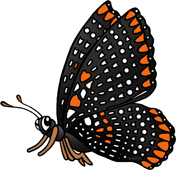 State Insect Of Maryland - Baltimore Checkerspot Butterfly Clipart (648x633)