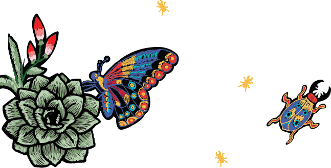 Bugs-mobile - Butterfly (647x329)
