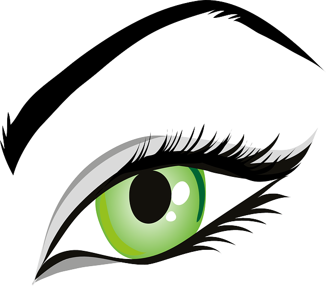 Eye, Green Eyes, Iris, Eyelid, Eyebrows, Brows, Seeing - Makeup Eye Clip Art (640x561)