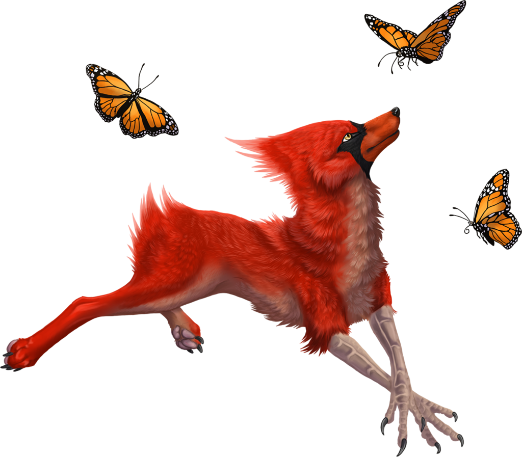 Cardinalidae 2 By Winternacht Commission - Drawing (1024x897)