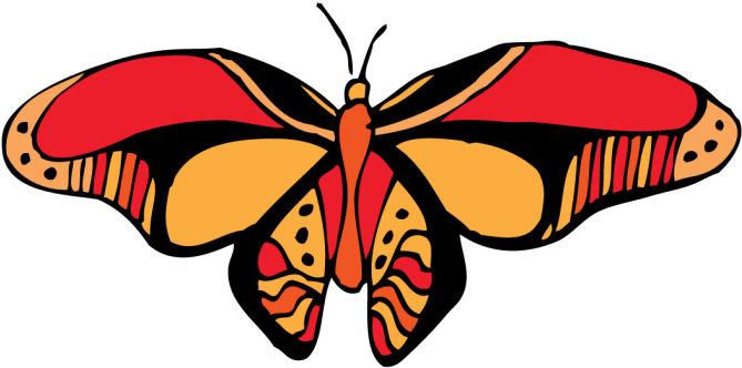 O' Butterfly - Brush-footed Butterfly (700x700)
