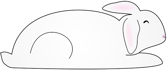 Rabbit Animal, Bunny, Mammal, Rabbit - กระต่าย กราฟ ฟิ ค (640x320)