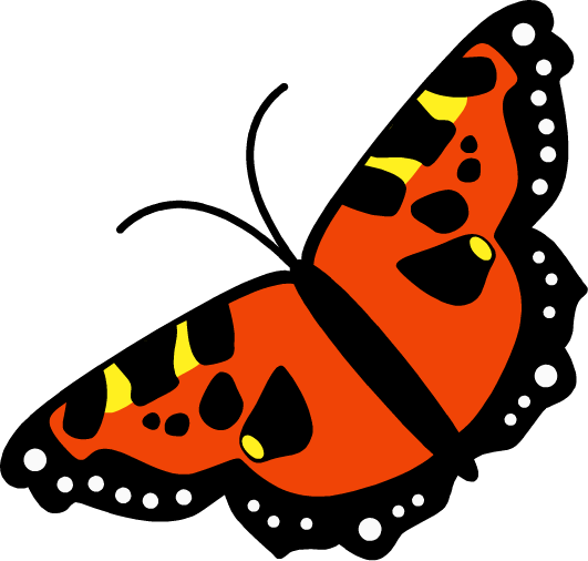 Class - Blog (531x506)