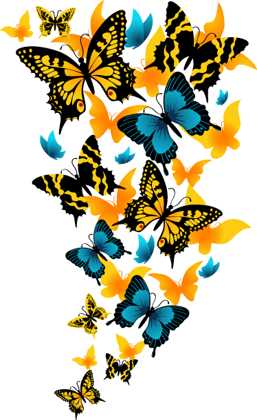 Wall Color - Beautiful Butterfly Png (374x610)