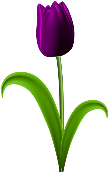 Purple Tulip Transparent Png Clip Art Image - Dark Red Tulip Png (381x600)