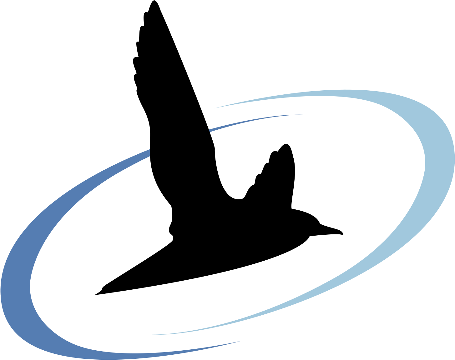 , Black Bawks Data Science Ltd - Swallow (1562x1326)