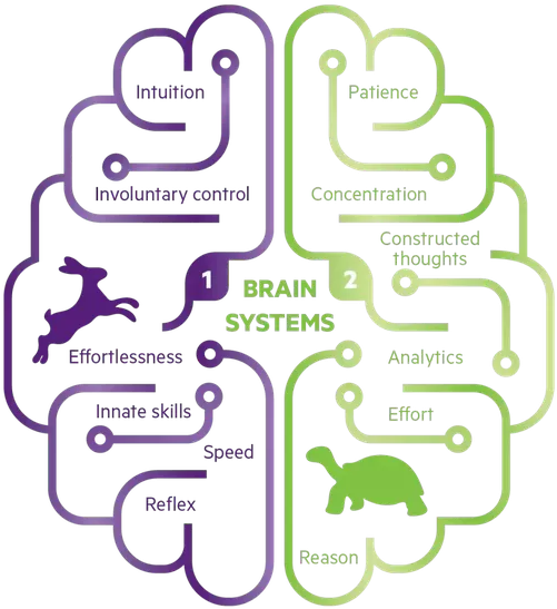 This Spoke To Me Like No Book Ever Before - Fast And Slow Thinking (602x602)