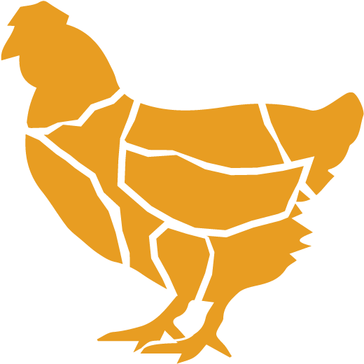 Chicken Whole - Shadow Images Of Hen (601x601)