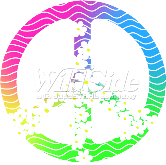 Stock Transfer - International Bikini Model Search Logo (675x675)