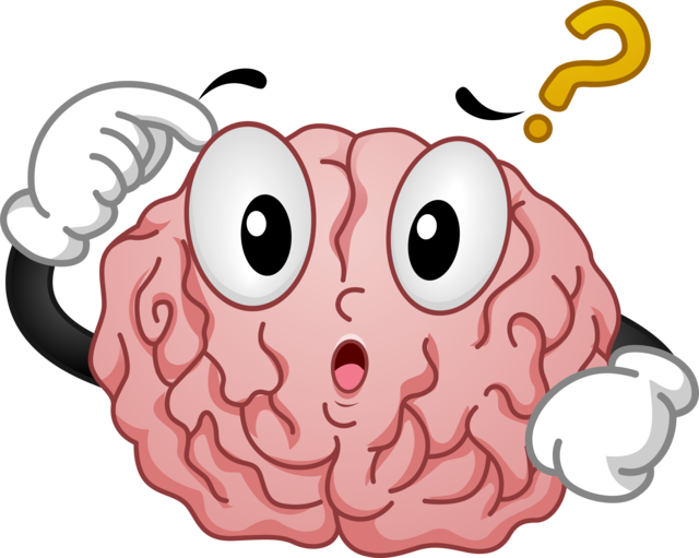 Brain Clipart Tumblr Transparent - Brain With A Question Mark (640x511)