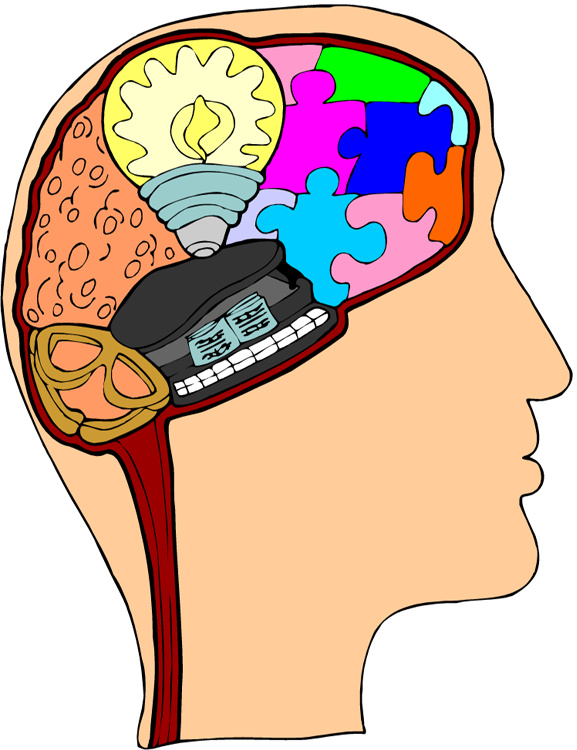 Human Brain Cartoon Clip Art - Human Brain Cartoon Clip Art (577x750)