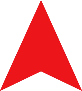 Charles Ii Had To Accept The Power Of The Parliament - Library (337x373)