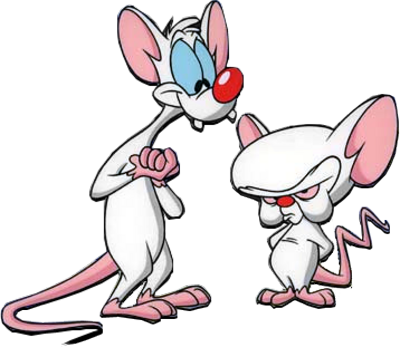 Pink Cartoon Brain Download - Pinky And The Brain Cartoon (400x347)