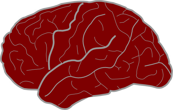 Red Brain Clip Art At Clker - Illustration (600x382)