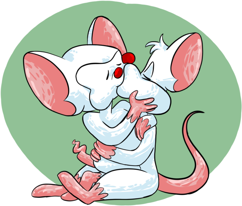 Pinky And The Brain Kiss By Emperorbrain - Pinky X Brain (994x804)