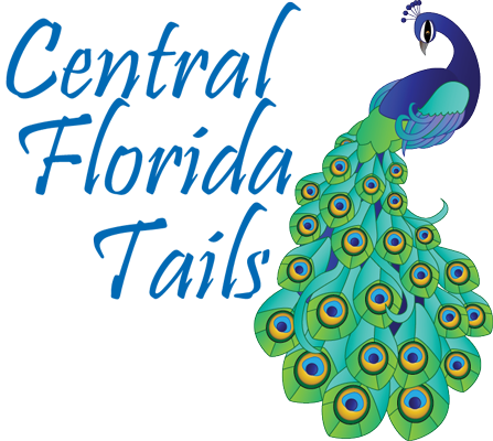 Central Florida Tails - Flowers Coloring Book: A Grayscale Coloring Book (447x400)