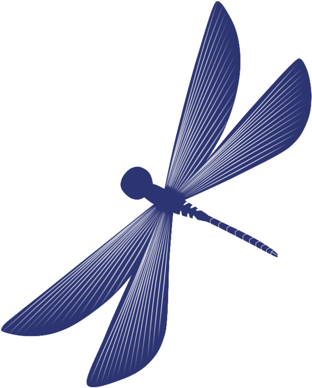 Dragonfly By Kot-sharik - Dragonfly (894x894)