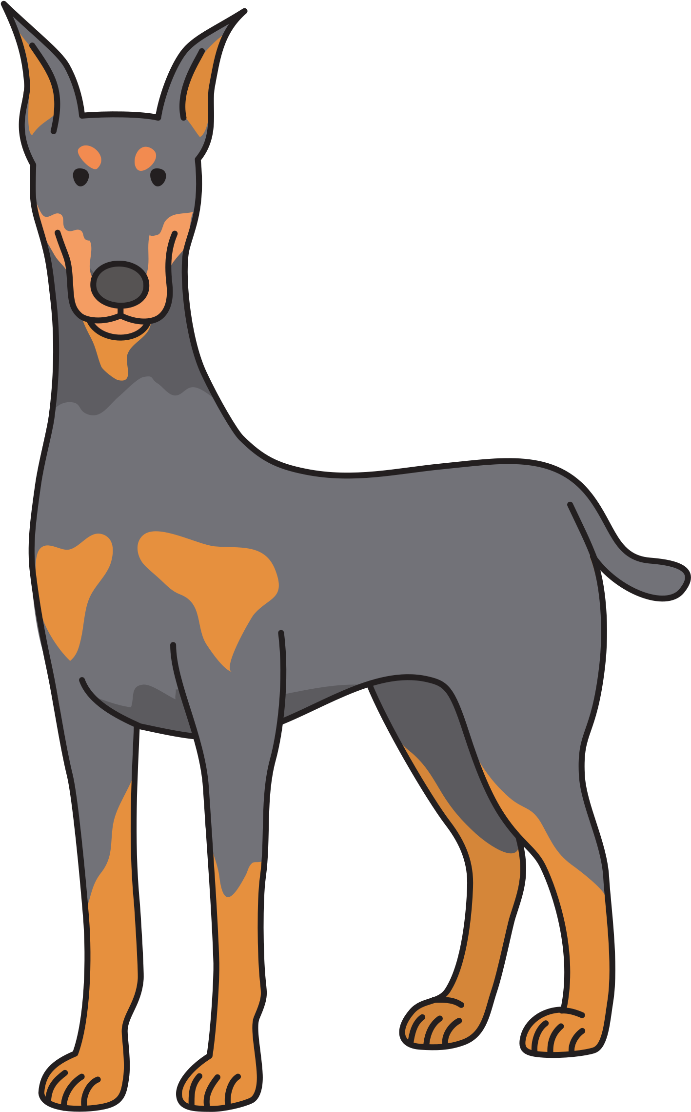 Dobermann Puppy Clip Art - Dobermann Puppy Clip Art (1590x2400)