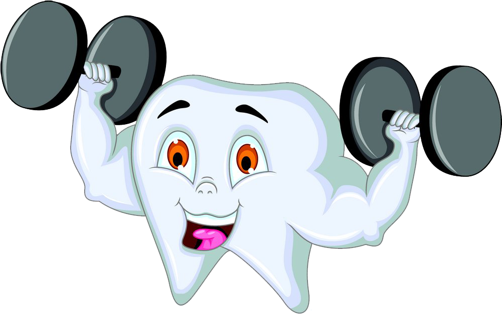 Human Tooth Tooth Brushing Toothbrush - Human Tooth Tooth Brushing Toothbrush (1000x652)