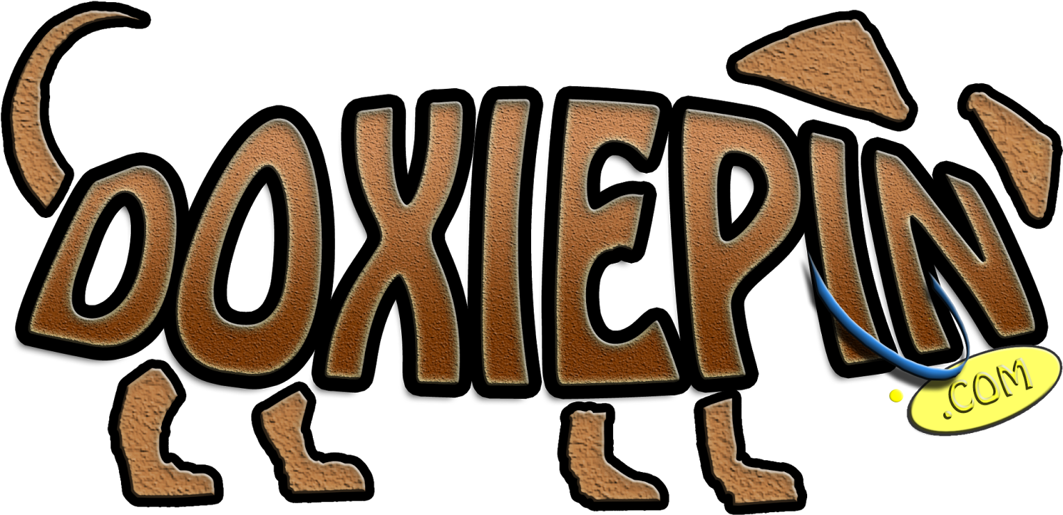 A "doxie" Or Dachshund And Has The Colors Of A Miniature - A "doxie" Or Dachshund And Has The Colors Of A Miniature (1600x984)