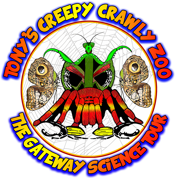 Dynamic Partnership Inspires Scientific Literacy For - T-shirt (600x608)