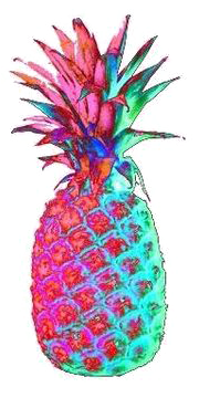 Coffee Pineapple Pizza Starbucks Clip Art - Pineapple Tumblr Png (564x564)