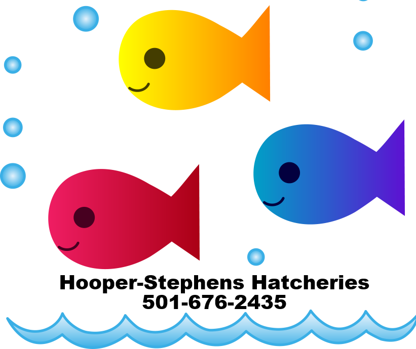 Fish4 - Fish Clip Art School (821x690)