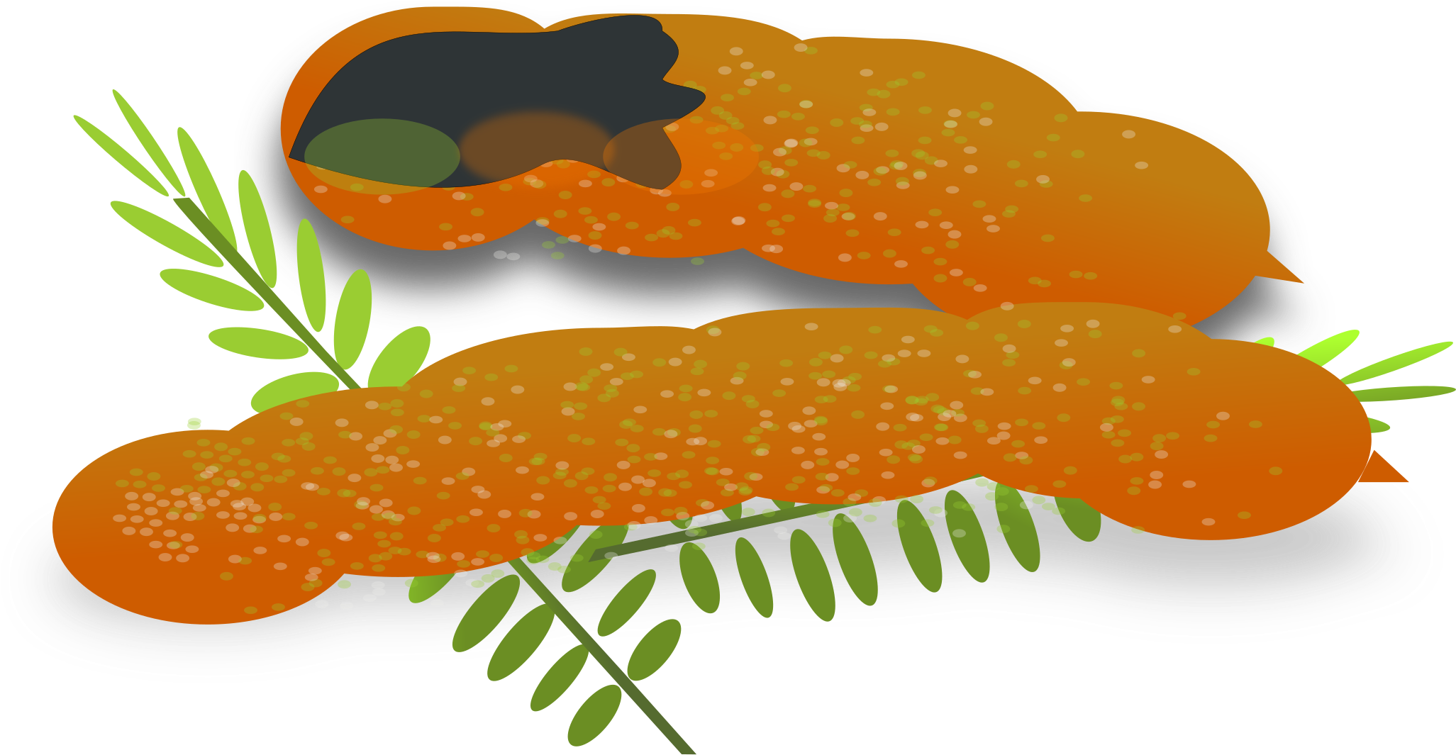 Tamarin Clipart Brown - Clip Art Sour Foods (2400x1800)