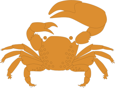Fiddler Crab Clipart - Crab (400x308)