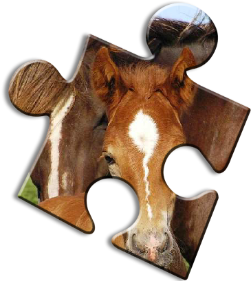 Horse Jigsaw Puzzles - Reindeer (408x408)