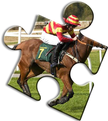 Horse Jigsaw Puzzles - Jockey (408x408)