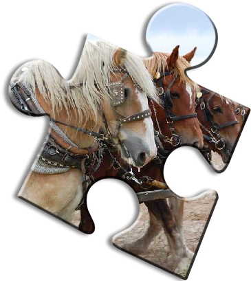 Horse Jigsaw Puzzles - Horse (408x408)